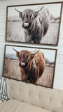 Highland Cow Print | Longhorn Print | Farm Animal Art | Cow Print | Highland Cow | Cattle Prints | Black And White Animal Print Sign