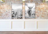 Highland Cow Print | Longhorn Print | Farm Animal Art | Cow Print | Highland Cow | Cattle Prints | Black And White Animal Print Sign