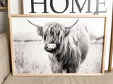 Highland Cow Print | Longhorn Print | Farm Animal Art | Cow Print | Highland Cow | Cattle Prints | Black And White Animal Print Sign