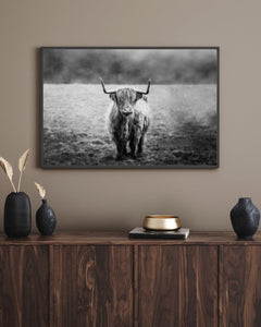 Highland Cow Print | Longhorn Print | Farm Animal Art | Cow Print | Highland Cow | Cattle Prints | Black And White Animal Print Sign