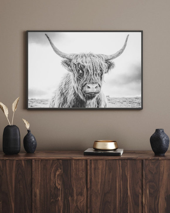 Highland Cow Print | Longhorn Print | Farm Animal Art | Cow Print | Highland Cow | Cattle Prints | Black And White Animal Print Sign