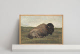 Bison Lying Down | Vintage Animal Poster | Antique Oil Painting Framed Wall Art | Rustic Decor | Cottage decor | Housewarming Gift