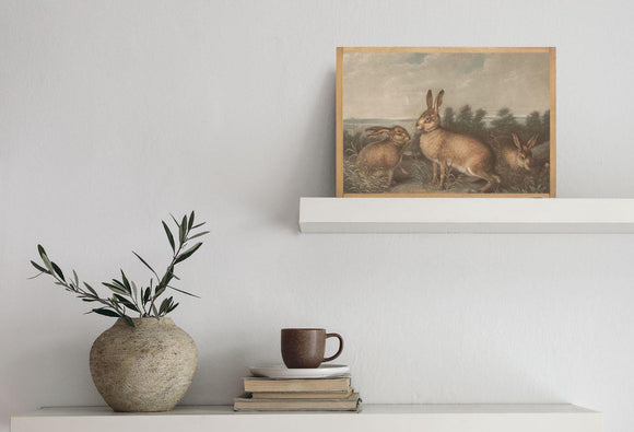 Vintage Bunny Print | Vintage Animal Poster | Vintage Easter Bunny Print | Antique Rabbit Sketch Drawing | Rustic Easter Decor
