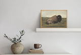 Bison Lying Down | Vintage Animal Poster | Antique Oil Painting Framed Wall Art | Rustic Decor | Cottage decor | Housewarming Gift