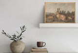 Vintage Bunny Print | Vintage Animal Poster | Vintage Easter Bunny Print | Antique Rabbit Sketch Drawing | Rustic Easter Decor