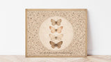 Butterfly Framed Wood Sign – Psalm 139:14 Christian Wall Art
