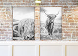 Highland Cow Print | Longhorn Print | Farm Animal Art | Cow Print | Highland Cow | Cattle Prints | Black And White Animal Print Sign