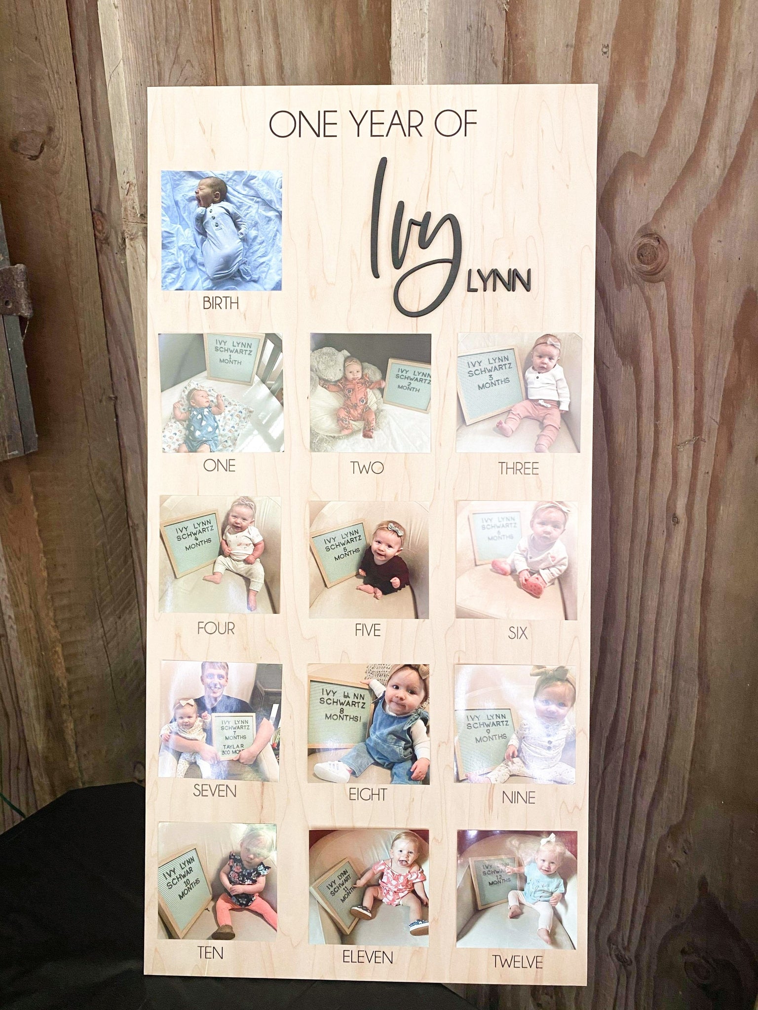 One Year of First Birthday Decor First Year Photo Display Baby
