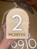 Interchangeable monthly milestone sign | Engraved Wooden Sign | Monthly milestone Plaque | Newborn Photo Prop | Baby Shower Gift