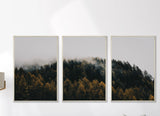 Set of 3 Nature Tree Art | Set of 3 Trees Wall Art | Landscape Print Set | Lake Mountain Set | 3 Piece Wall Art | 3 Piece Framed Wall art