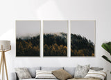 Set of 3 Nature Tree Art | Set of 3 Trees Wall Art | Landscape Print Set | Lake Mountain Set | 3 Piece Wall Art | 3 Piece Framed Wall art