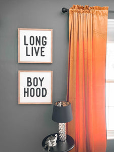 Long Live Boy Hood Duo Framed Signs
